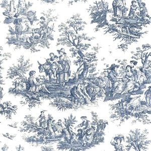 blue-toile